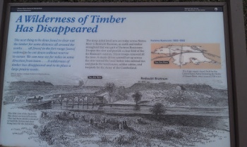 A Wilderness of Timber has Disappeared - Murfreesboro, TN.jpg