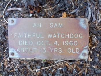 Ah Sam Watchdog Memorial - Honolulu, HI.jpg