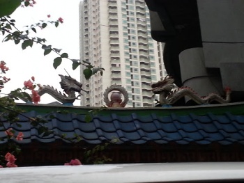 Roof Dragon - Manila, NCR.jpg
