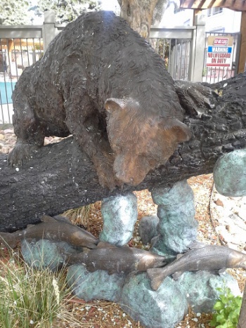Ironwood Bear - Westminster, CO.jpg
