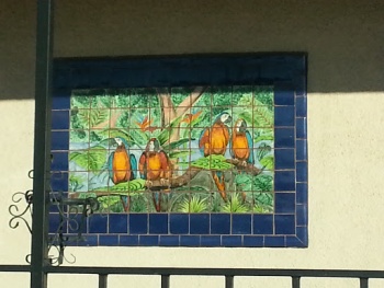 Macaw Tile Mural - Santa Clarita, CA.jpg