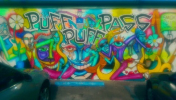 Puff Pass Smoke Shop - Fort Lauderdale, FL.jpg