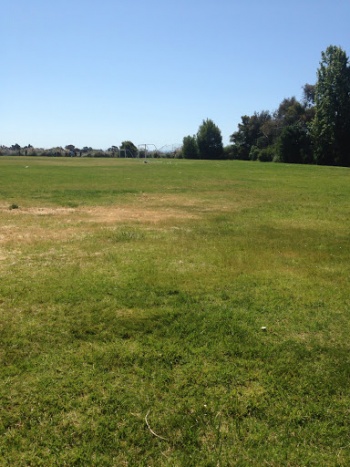 Soccer by the Shore - Oakland, CA.jpg