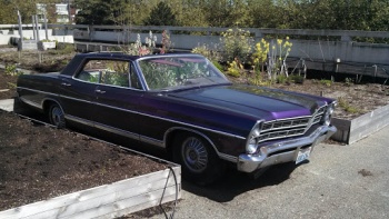 UpGarden Car Planter - Seattle, WA.jpg