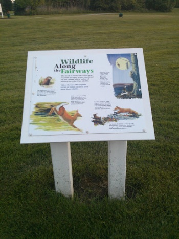 Wildlife Along the Fairways - Cleveland, OH.jpg