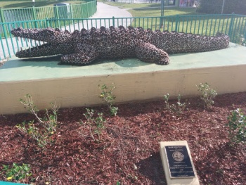 Alligator By Pedro Ortueta - Hialeah, FL.jpg