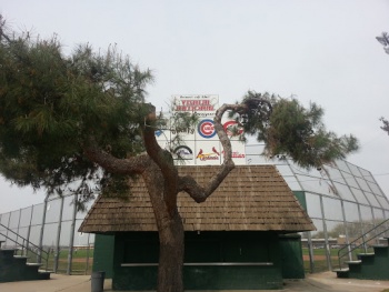 Little League Park - Visalia, CA.jpg
