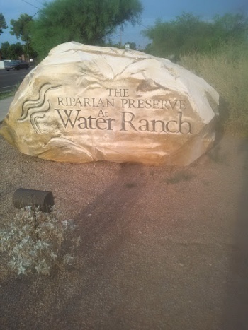 Riparian Water Ranch - Gilbert, AZ.jpg