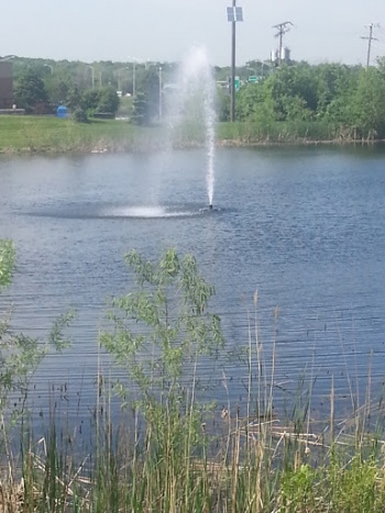 Timber Ridge Fountain - Joliet, IL.jpg