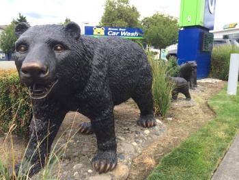 Renton Brown Bear - Renton, WA.jpg