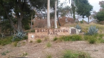 Brace Canyon Park - Burbank, CA.jpg