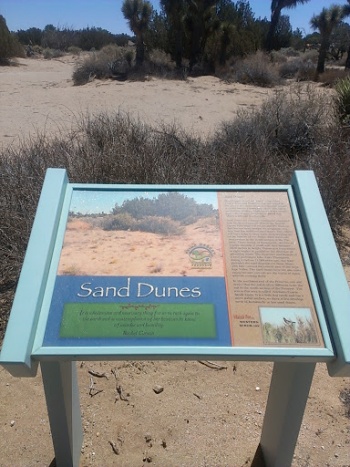 Sand Dunes - Lancaster, CA.jpg