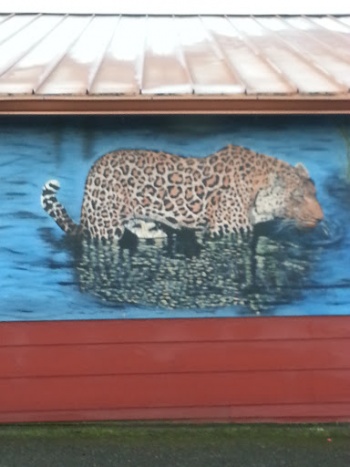 Spot Tavern Leopard Mural - Vancouver, WA.jpg