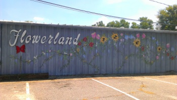 Flowerland - Athens, GA.jpg
