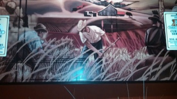Harvest Painting - Elk Grove, CA.jpg