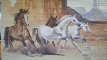 Horse Mural - Glendale, AZ.jpg