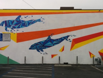 Polygon Dolphin - Santa Monica, CA.jpg