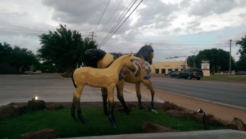 Butterfly Horses - Wichita Falls, TX.jpg