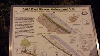 Mill Creek Riparian Enhancement Area - Salem, OR.jpg