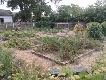 Ohio Village Heirloom Garden - Columbus, OH.jpg