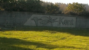 City of Kent Geese sign - Kent, WA.jpg