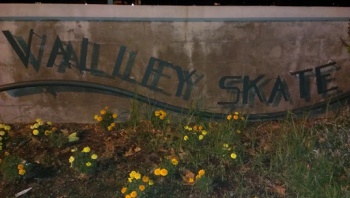 Valley Skate - Los Angeles, CA.jpg
