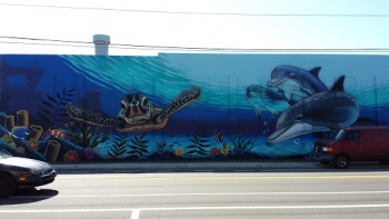 Aquatic Paradise Mural - Saint Petersburg, FL.jpg