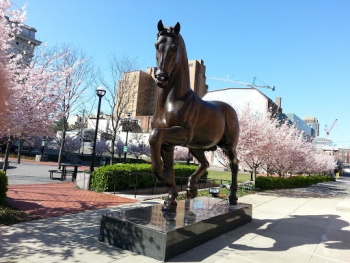 Leonardo's Horse - Allentown, PA.jpg