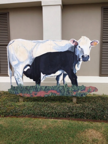 Flat Cow - Montgomery, AL.jpg