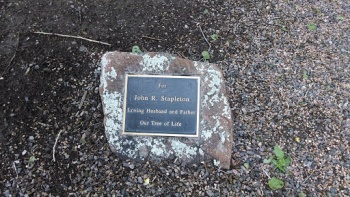 Our Tree of Life - Lakewood, CO.jpg