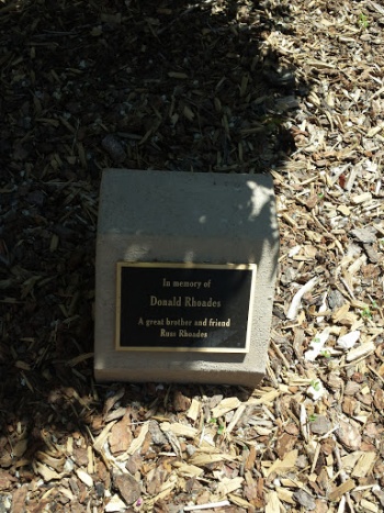 Donald Rhoades Memorial Tree - Albuquerque, NM.jpg