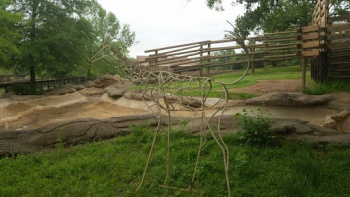 Giraffe Sculpture - Little Rock, AR.jpg
