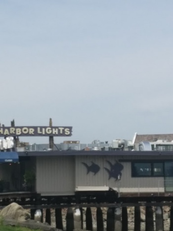 Harbor Lights Fish Art - Tacoma, WA.jpg