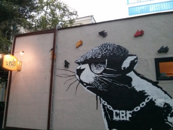Harlem Rat Graffity - Kyiv, Kyiv city.jpg