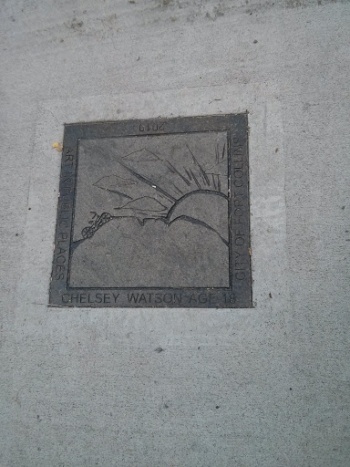 Art in Public Places - Chelsey Watson - Fort Collins, CO.jpg
