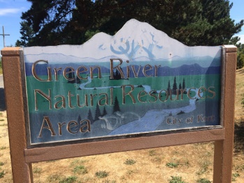 Green River Natural Resources Area - Kent, WA.jpg