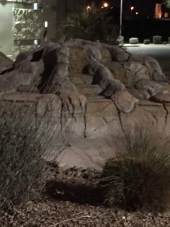 Snake Fountain - Chandler, AZ.jpg