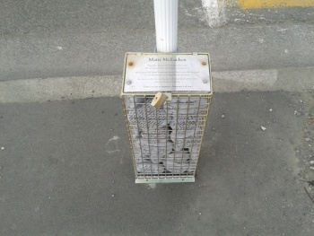 Matti McEachen - Christchurch, Canterbury.jpg
