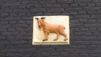 Geitige Gevelsteen - Amsterdam, NH.jpg