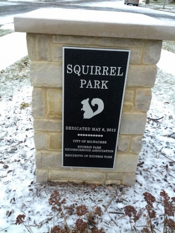 Squirrel Park - Milwaukee, WI.jpg