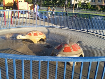 Water Back Turtles - Murrieta, CA.jpg