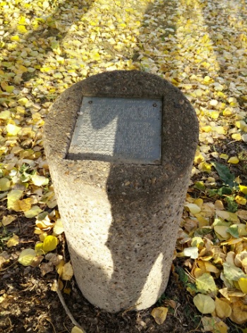 Dawson Plague - Edmonton, AB.jpg