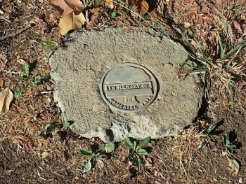 Memorial Tree - Concord, CA.jpg