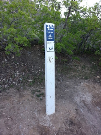 Y Mountain Trail Marker 9 - Provo, UT.jpg