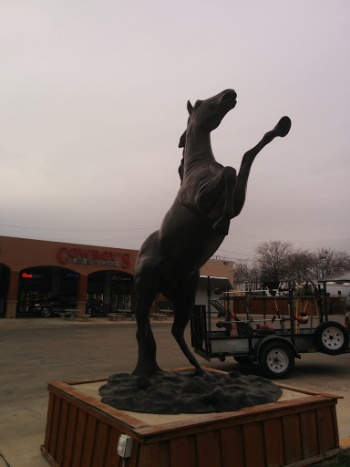Horse Statue - Fort Worth, TX.jpg