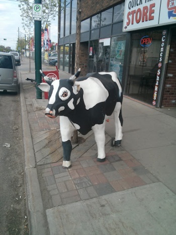 Cow Statue - Edmonton, AB.jpg