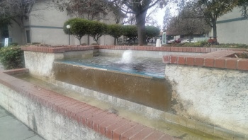 Elwai Ditew Spout - Milpitas, CA.jpg