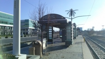 Satellite Palm - Sunnyvale, CA.jpg