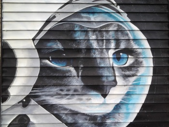 Space Cat Mural - Houston, TX.jpg